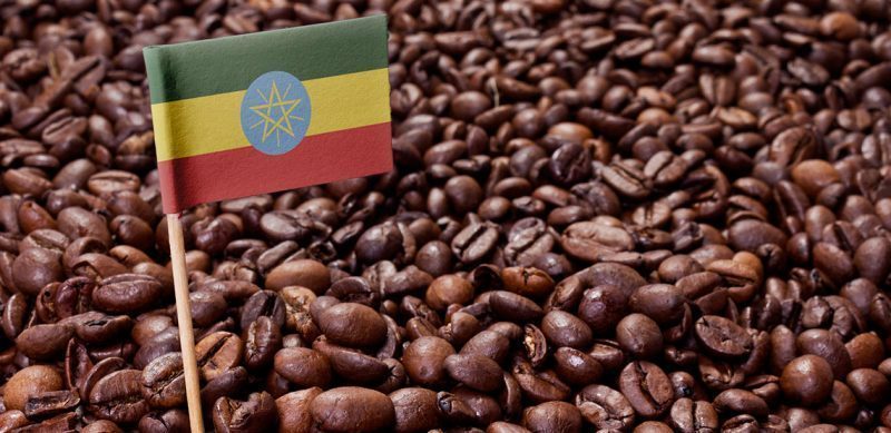 ethiopia-coffee-sieuthicafevn-2020