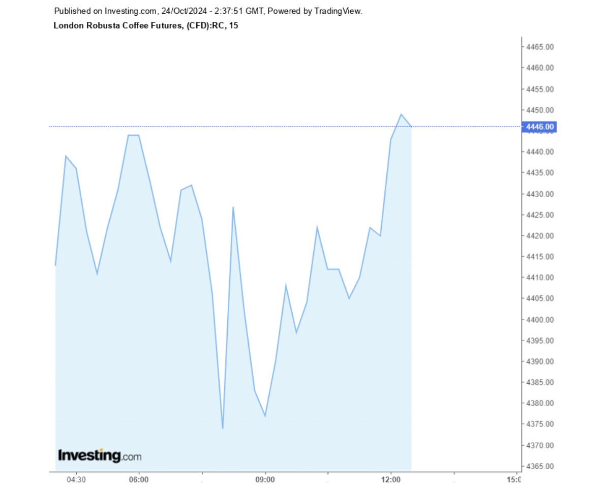 Biểu đồ giá cà phê Robusta sàn London ngày 24/10/2024